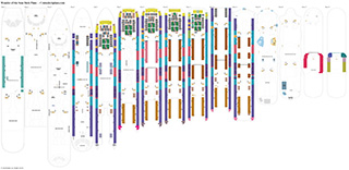 wonder-deck-map